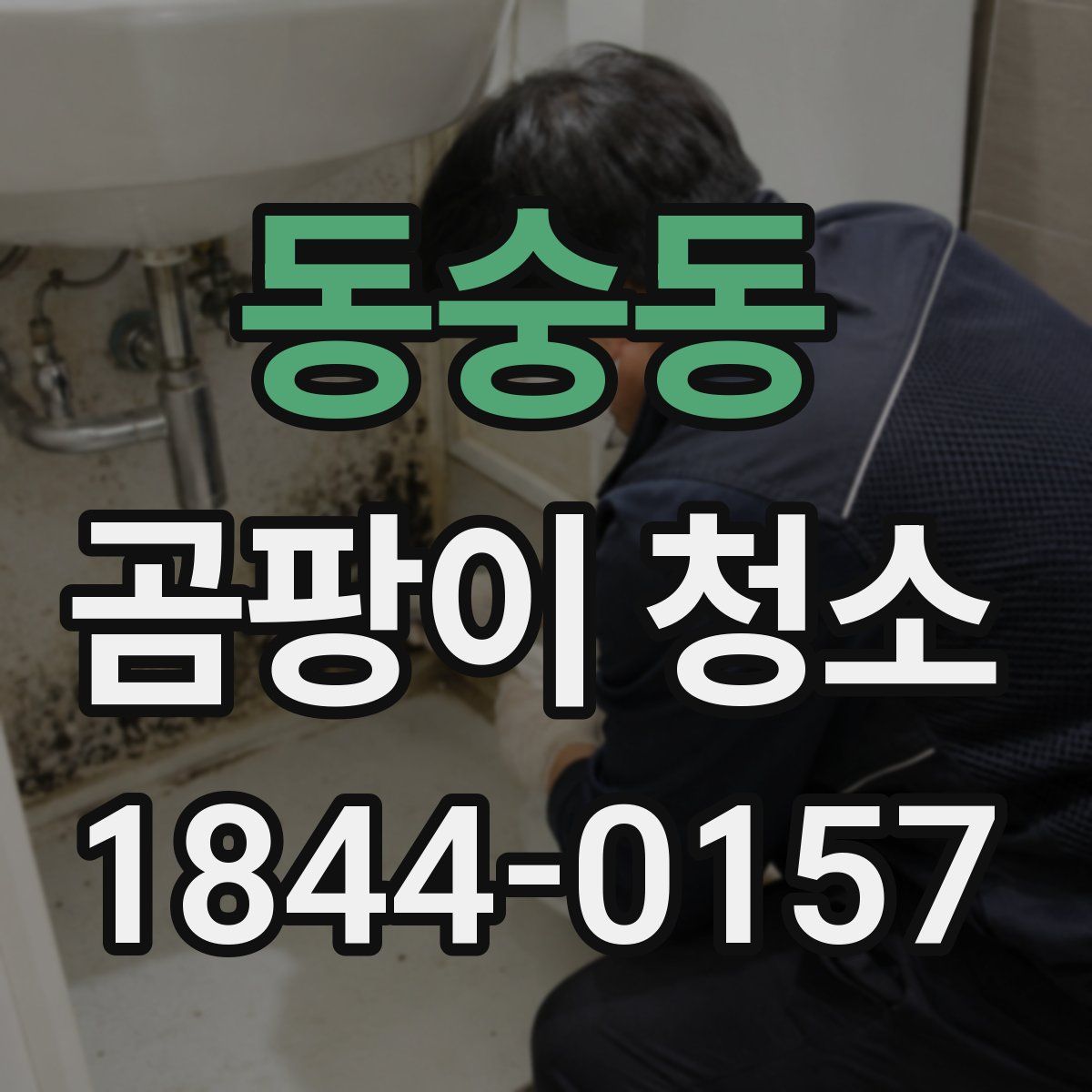 동숭동 곰팡이 청소