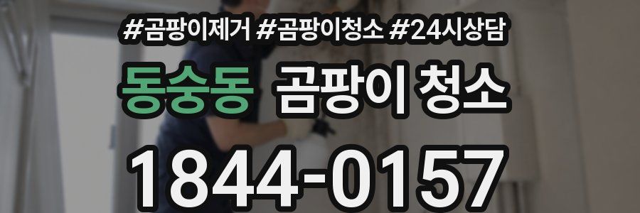 동숭동 곰팡이 청소