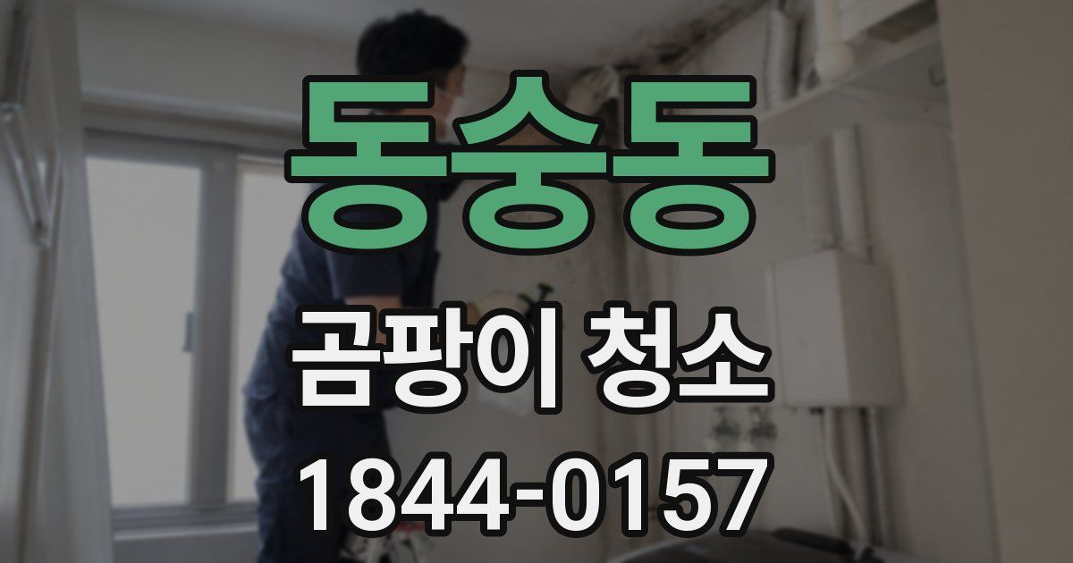 동숭동 곰팡이 청소
