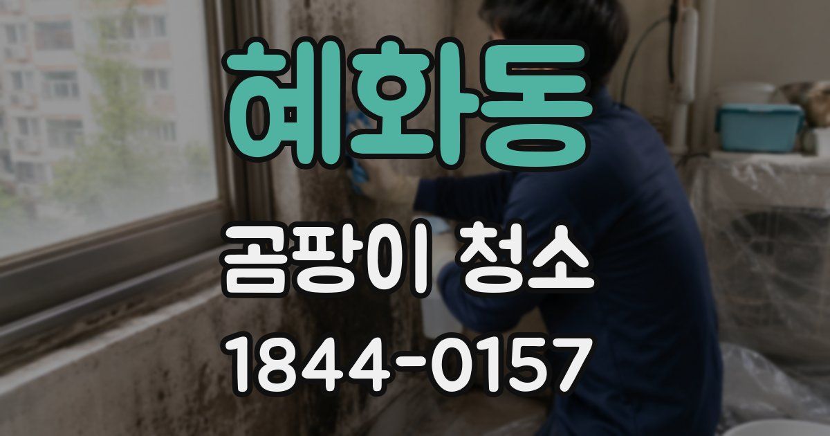 혜화동 곰팡이 청소