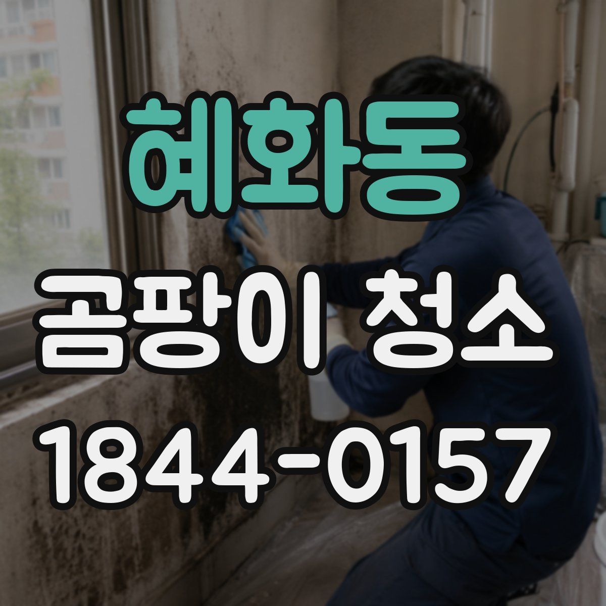 혜화동 곰팡이 청소