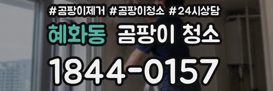 혜화동 곰팡이 청소
