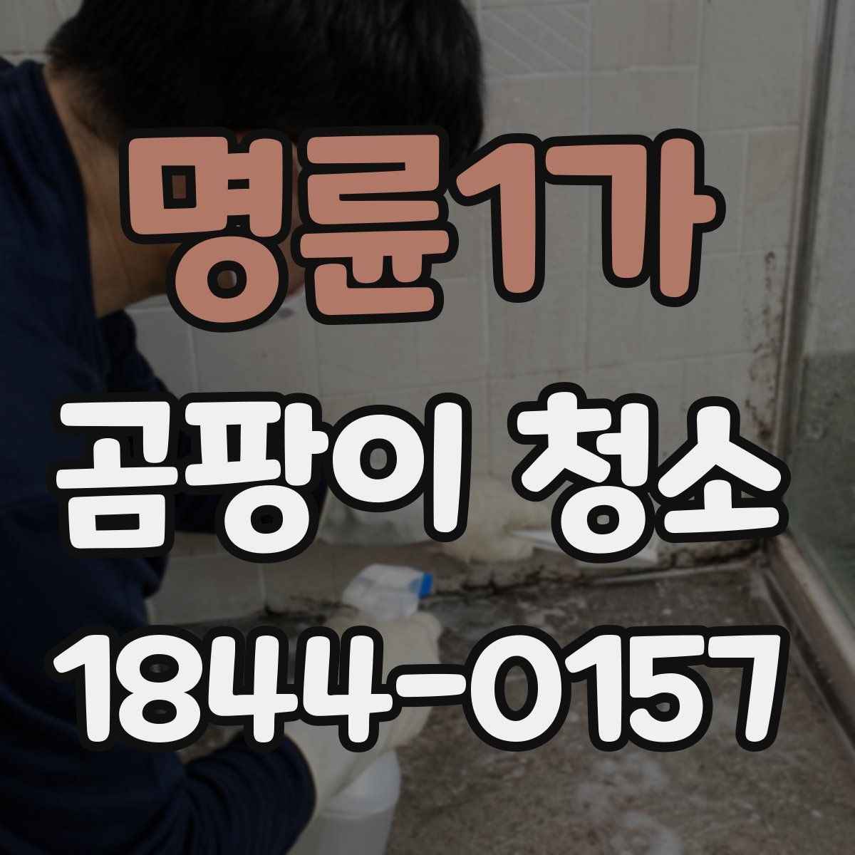 명륜1가 곰팡이 청소