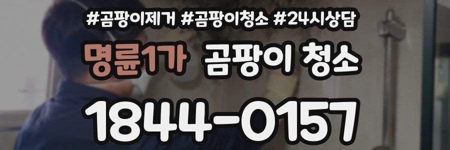 명륜1가 곰팡이 청소