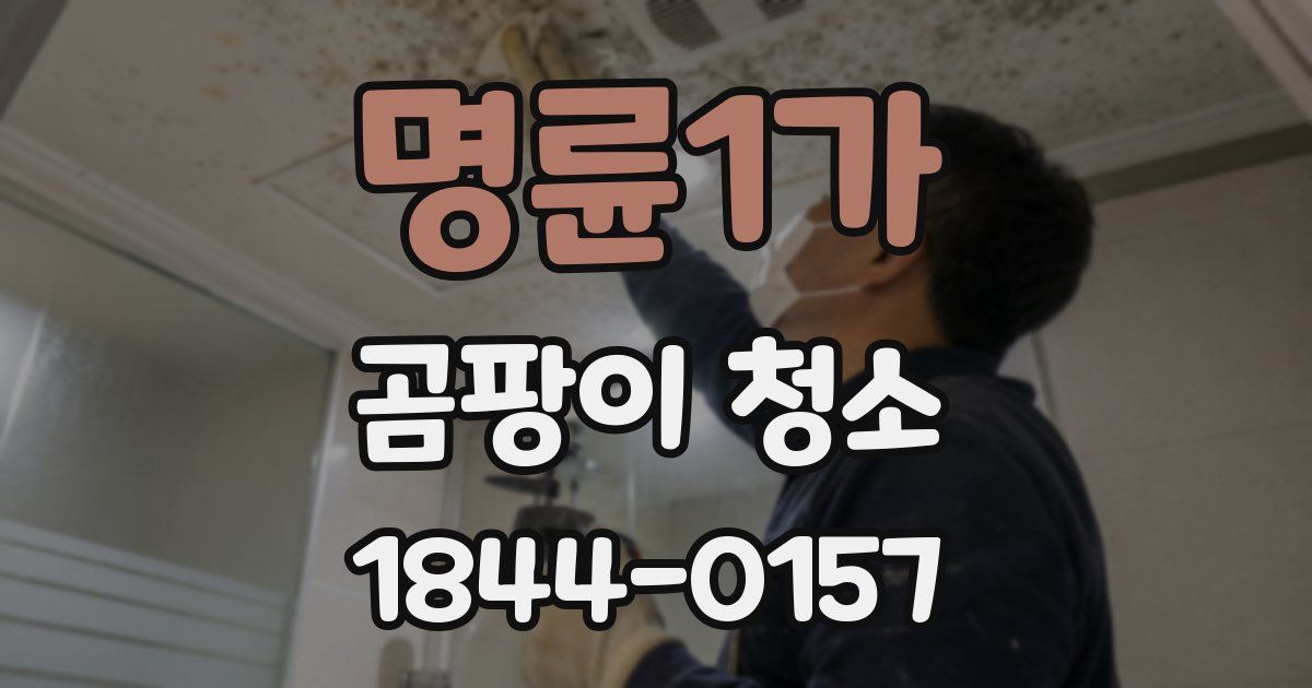 명륜1가 곰팡이 청소