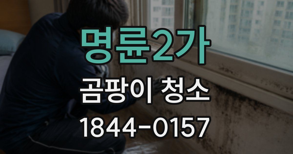 명륜2가 곰팡이 청소