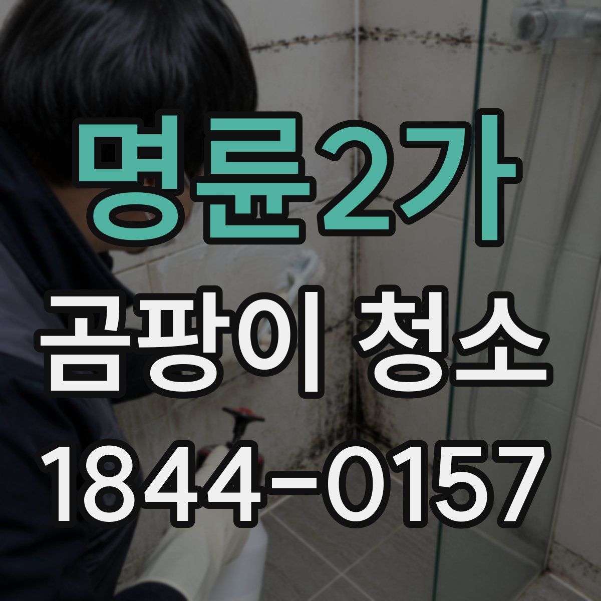 명륜2가 곰팡이 청소