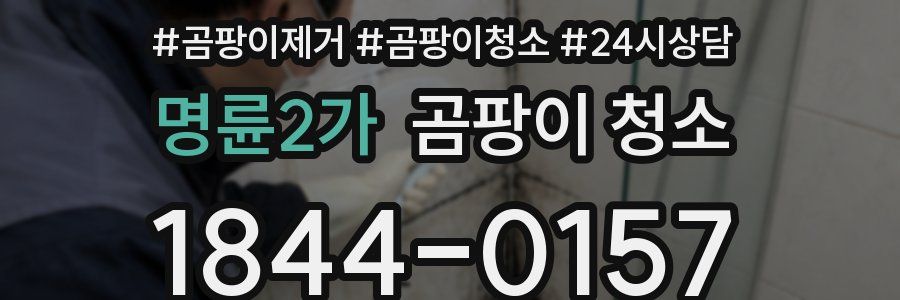 명륜2가 곰팡이 청소