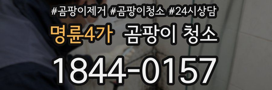 명륜4가 곰팡이 청소
