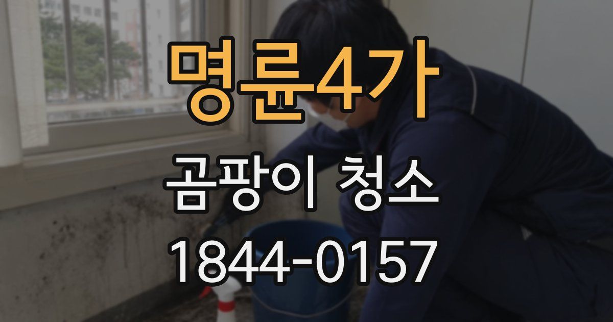 명륜4가 곰팡이 청소