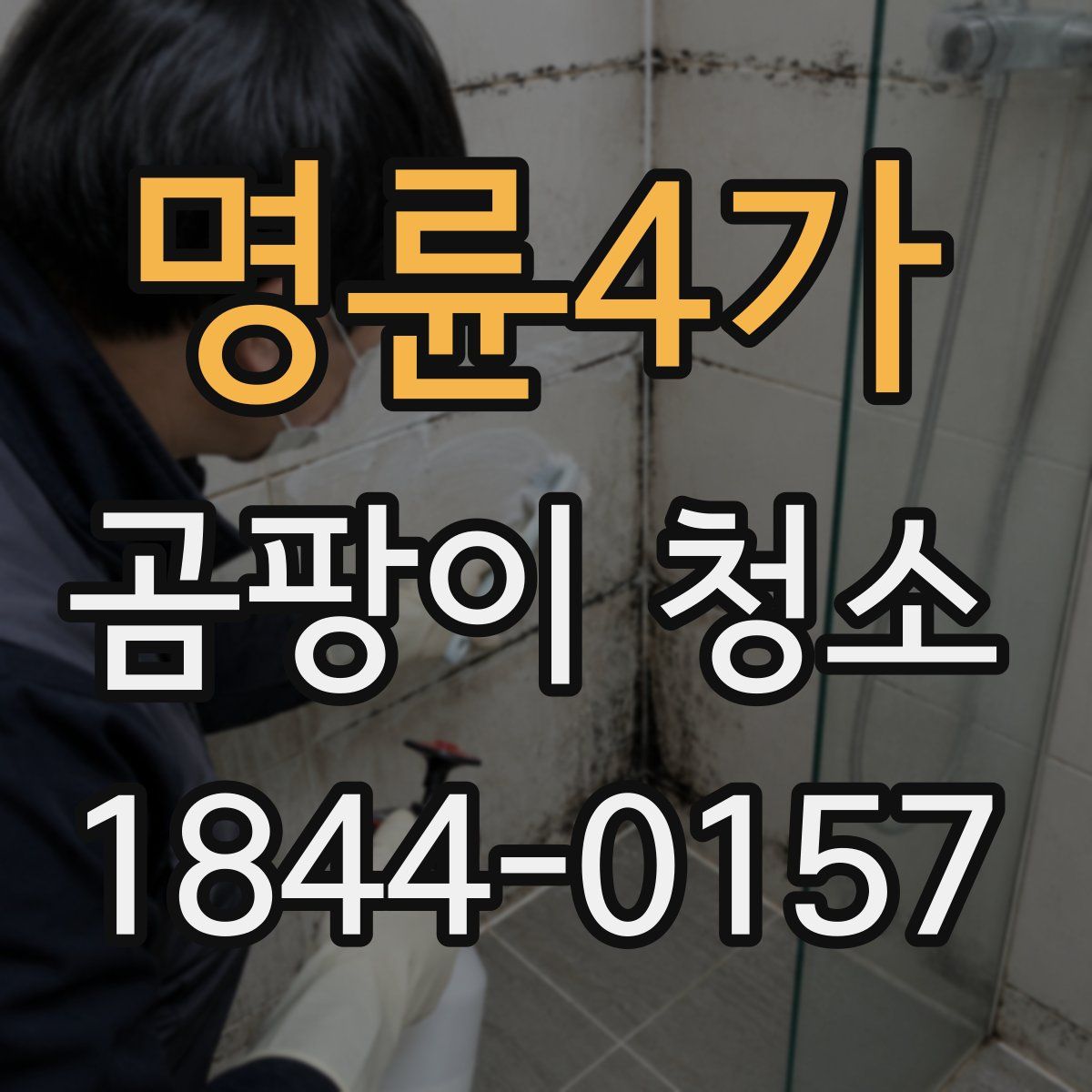 명륜4가 곰팡이 청소