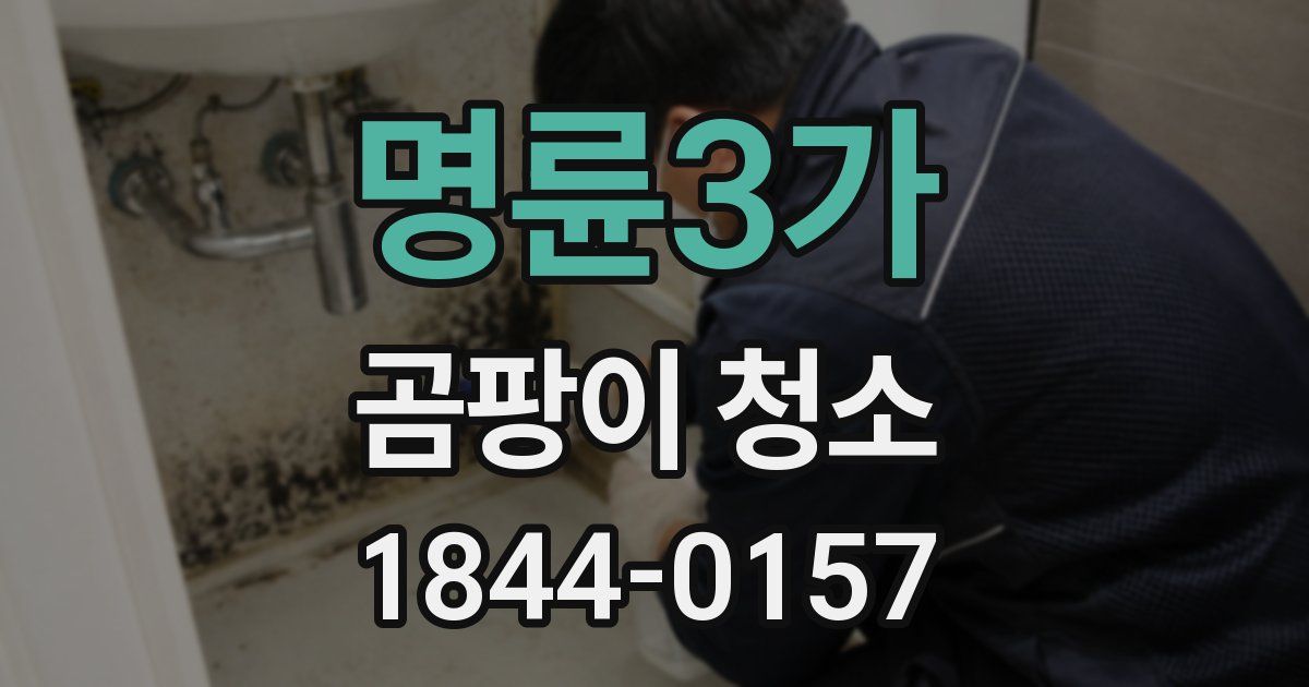 명륜3가 곰팡이 청소