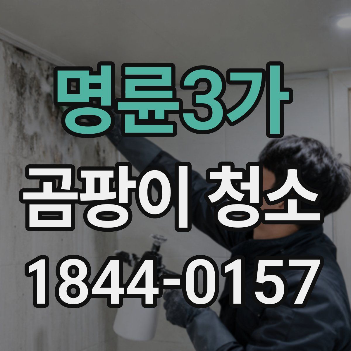 명륜3가 곰팡이 청소