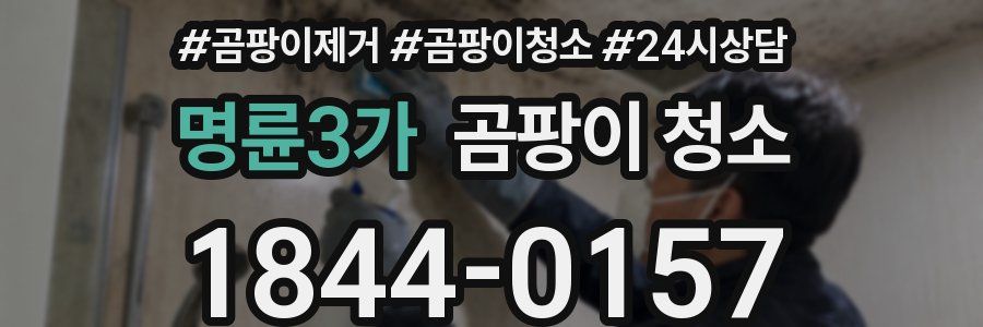 명륜3가 곰팡이 청소