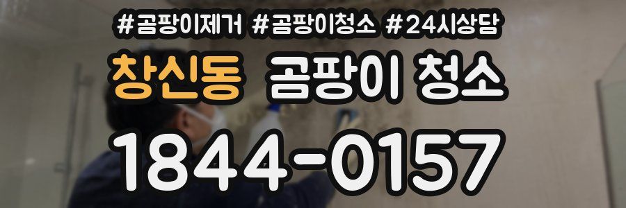 창신동 곰팡이 청소