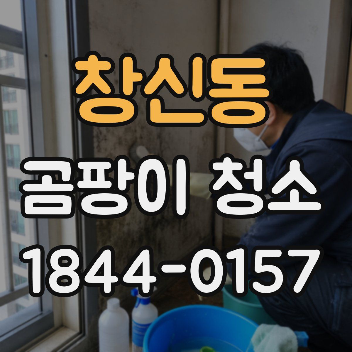 창신동 곰팡이 청소