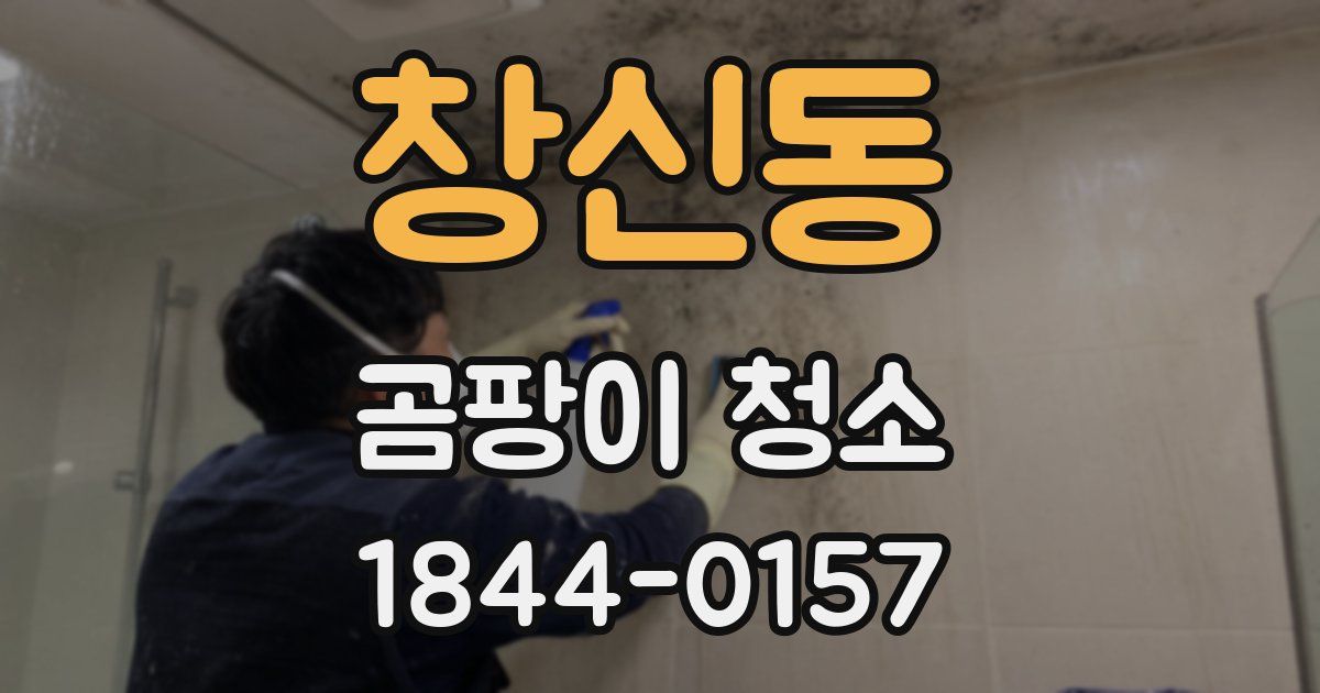 창신동 곰팡이 청소