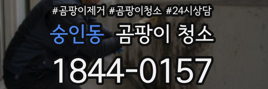 숭인동 곰팡이 청소