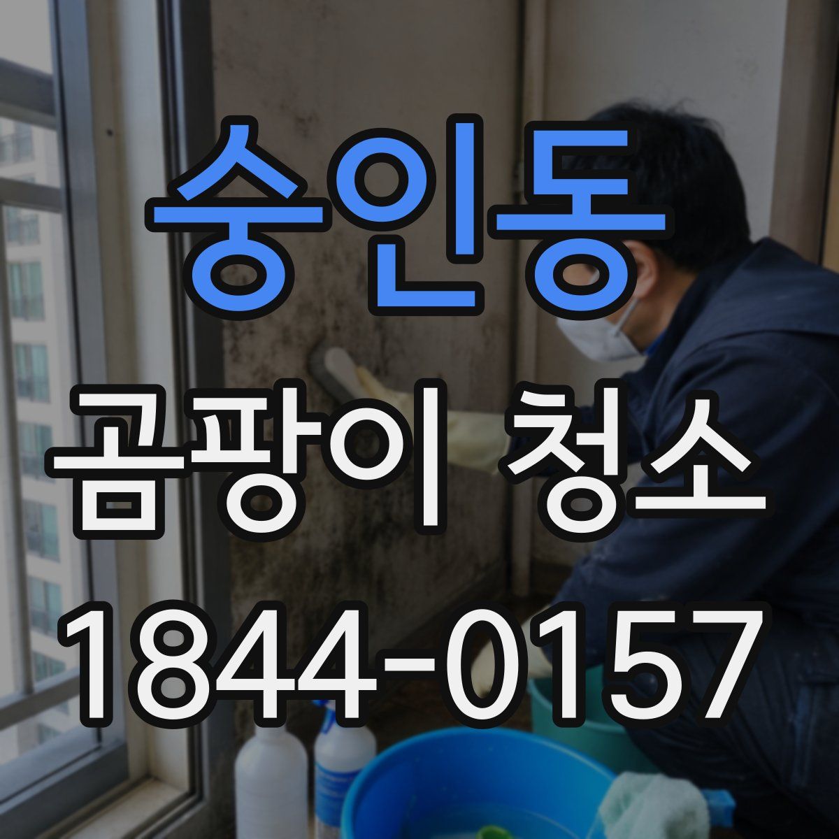 숭인동 곰팡이 청소