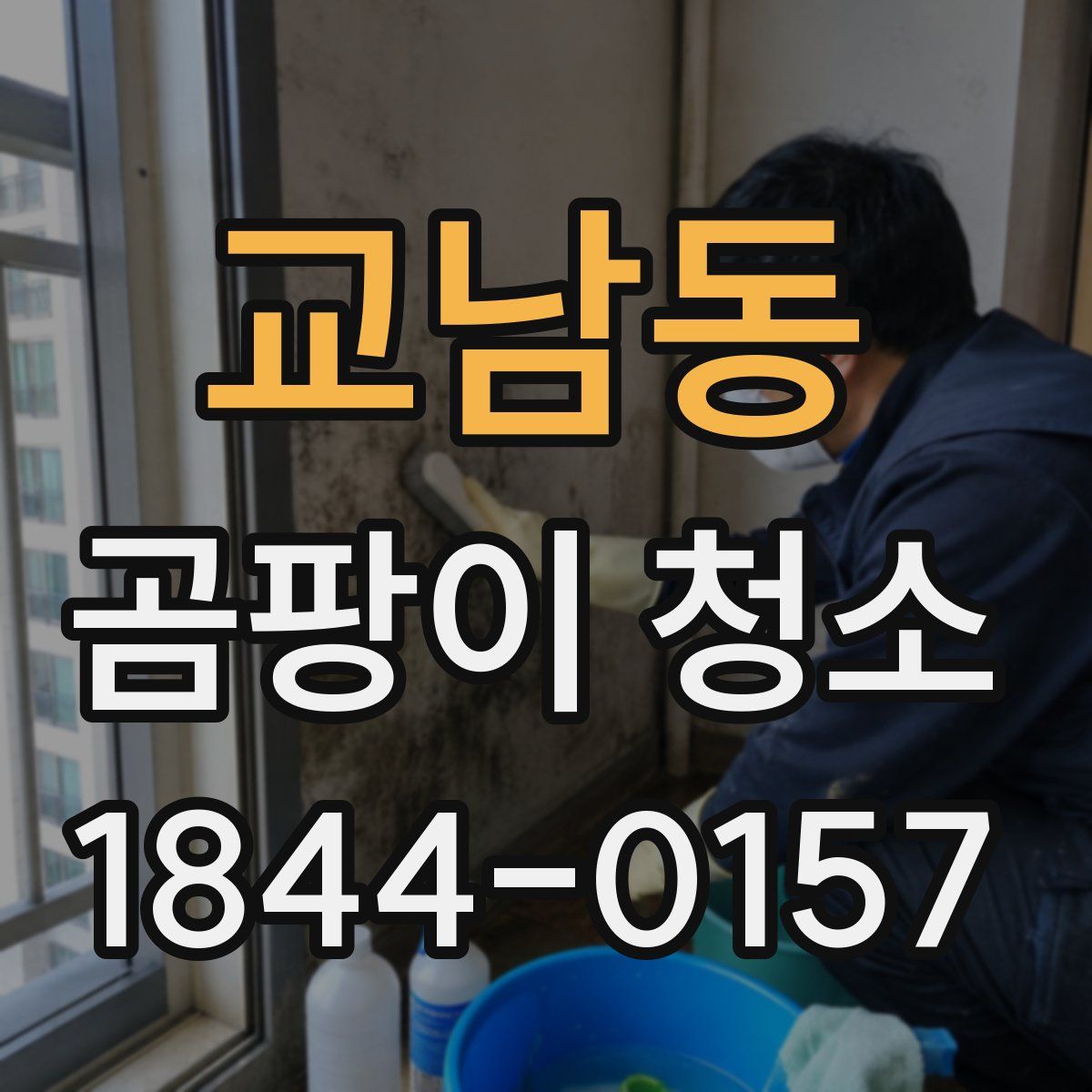 교남동 곰팡이 청소