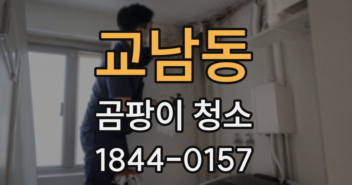 교남동 곰팡이 청소