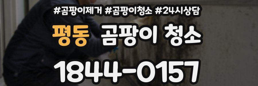 평동 곰팡이 청소