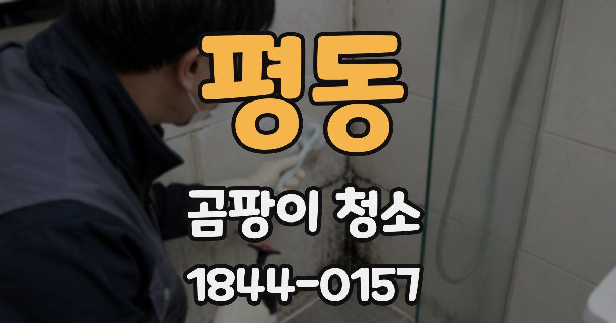 평동 곰팡이 청소