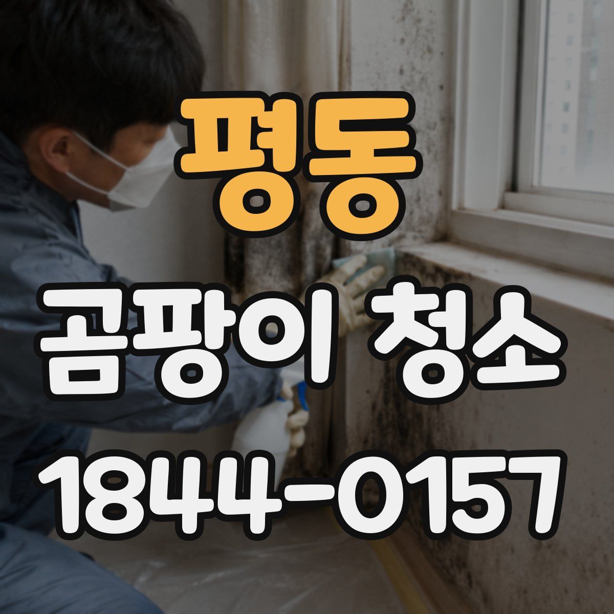 평동 곰팡이 청소