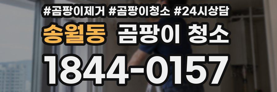 송월동 곰팡이 청소