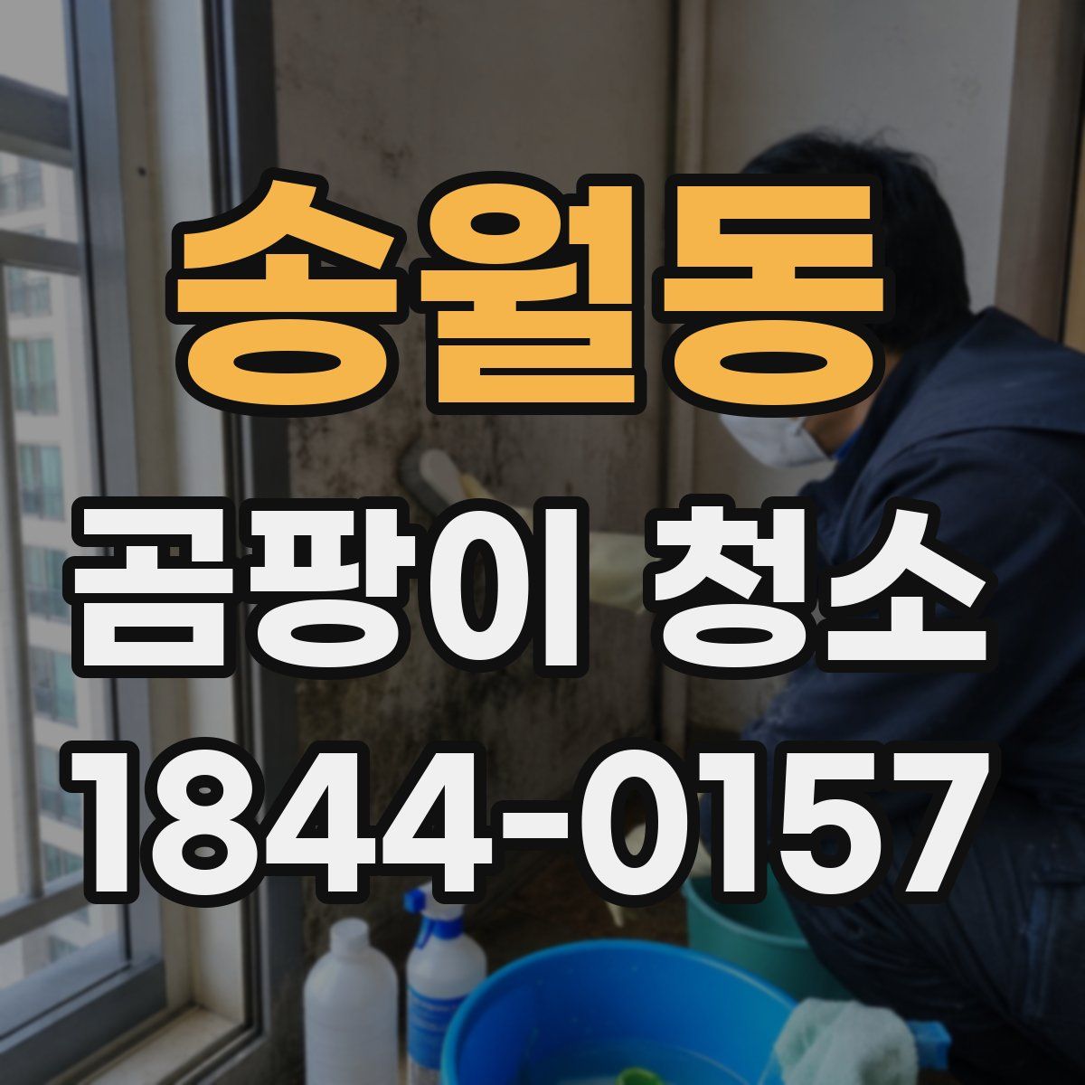 송월동 곰팡이 청소