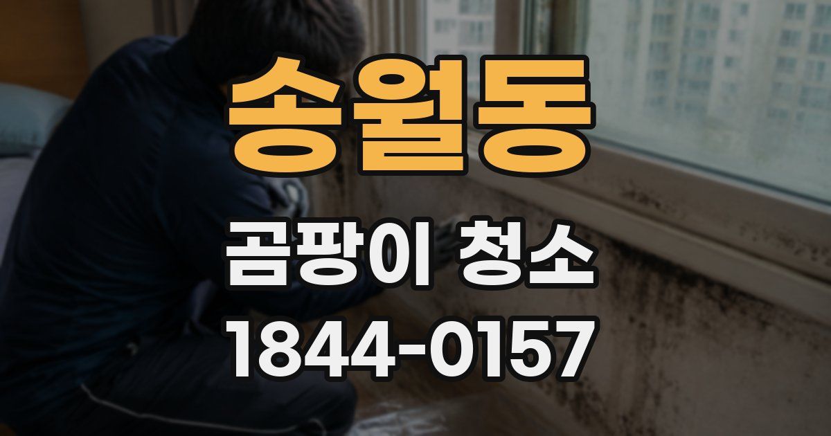 송월동 곰팡이 청소