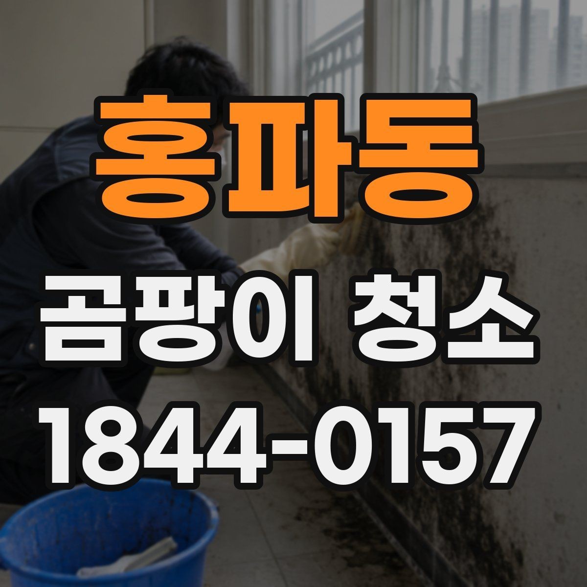 홍파동 곰팡이 청소 목재 마감재 손상을 줄이며 진행하는 요령