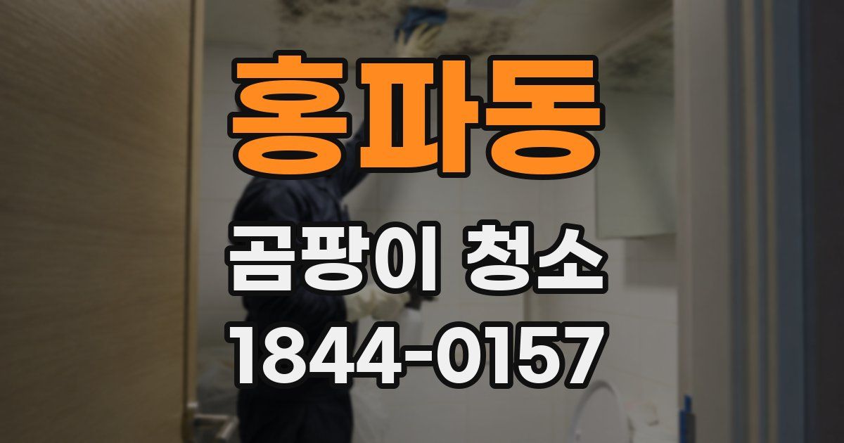 홍파동 곰팡이 청소