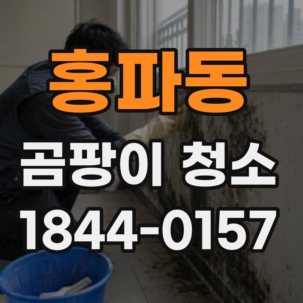 홍파동 곰팡이 청소