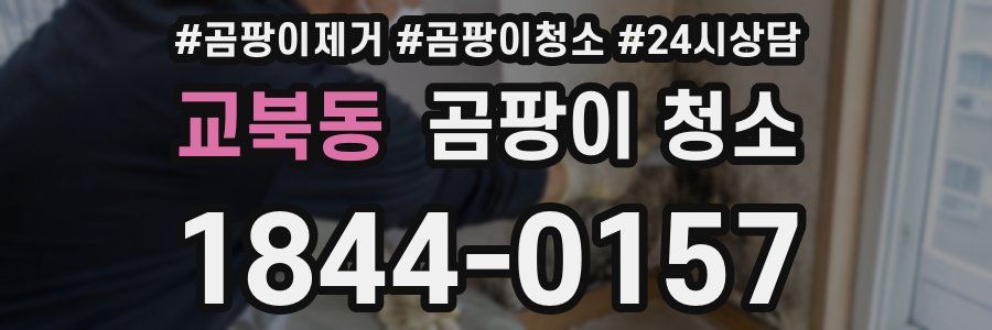 교북동 곰팡이 청소