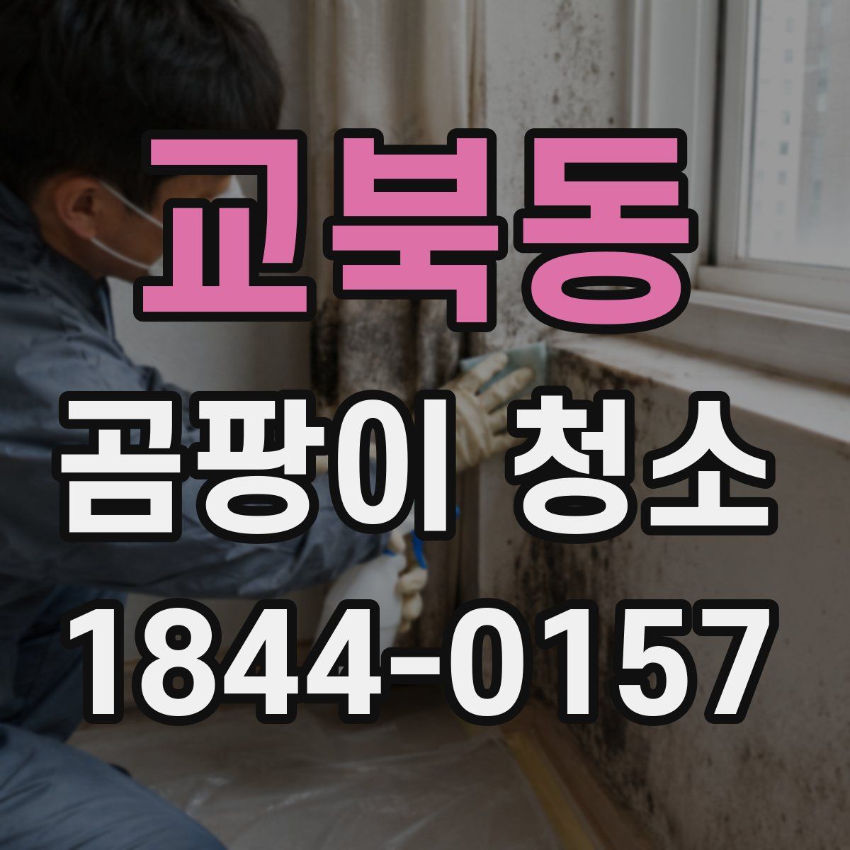 교북동 곰팡이 청소