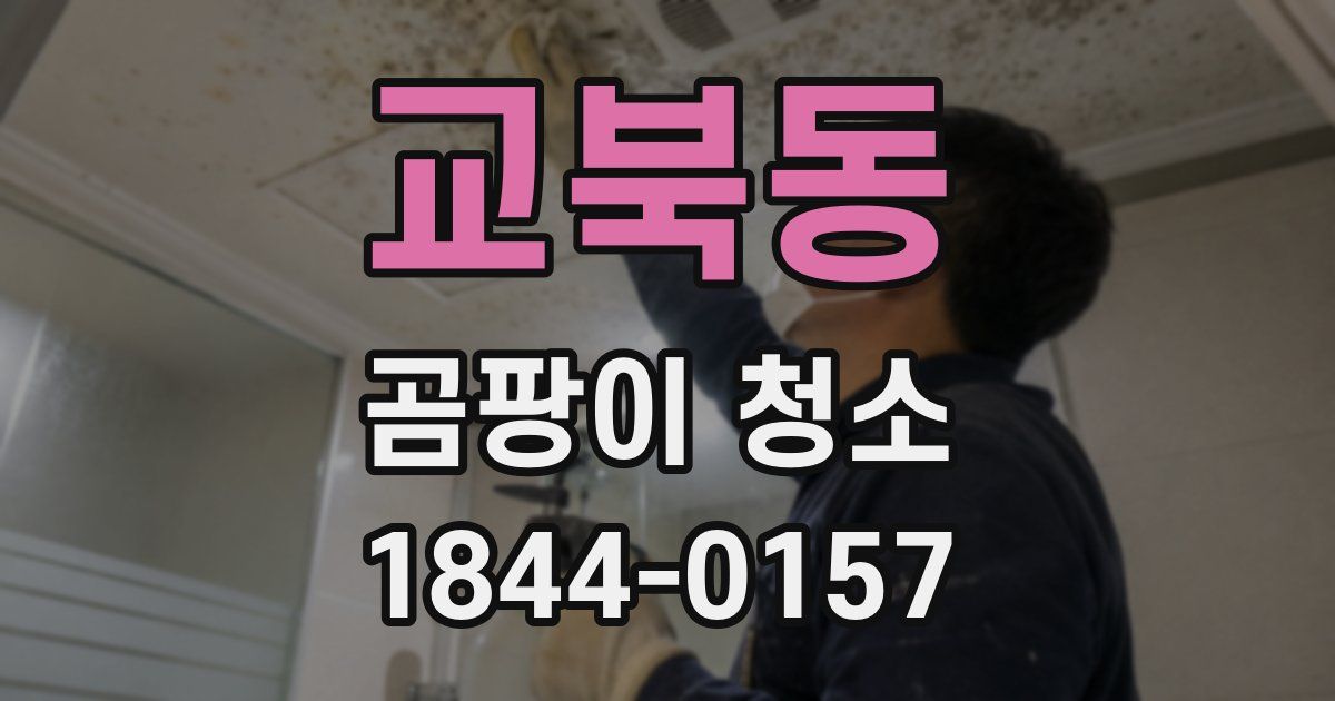교북동 곰팡이 청소