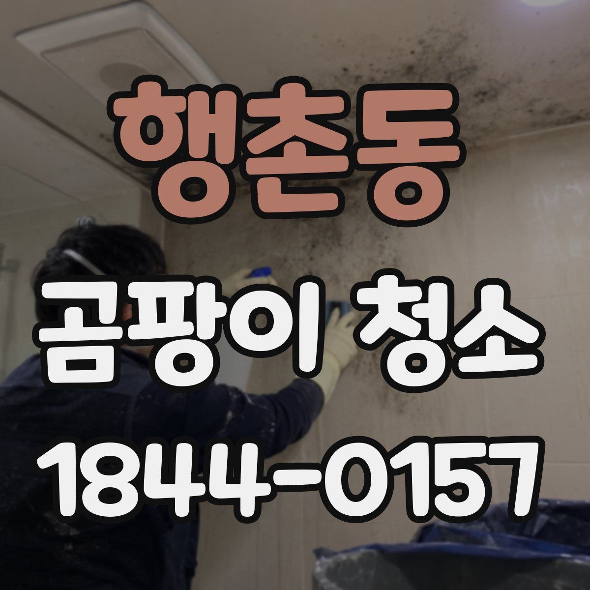 행촌동 곰팡이 청소