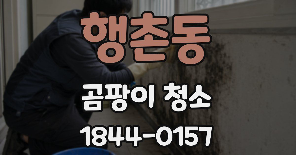 행촌동 곰팡이 청소