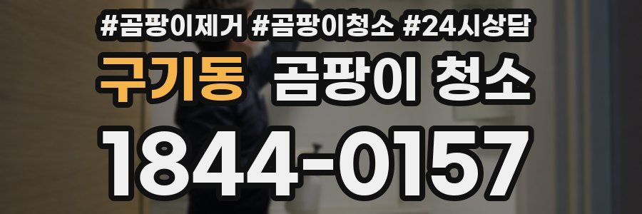 구기동 곰팡이 청소