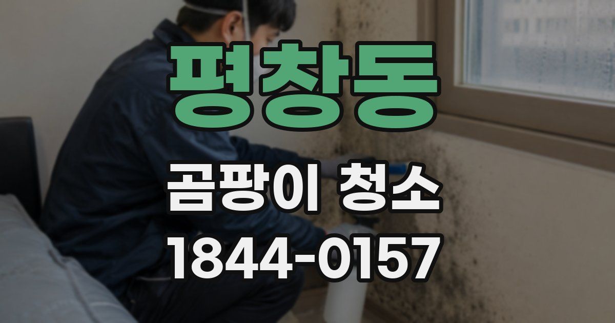 평창동 곰팡이 청소