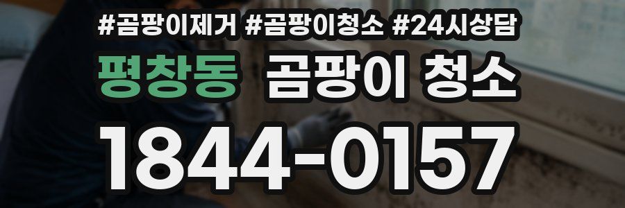 평창동 곰팡이 청소