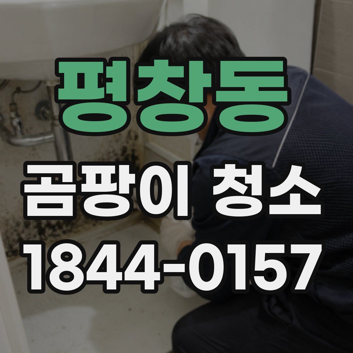 평창동 곰팡이 청소