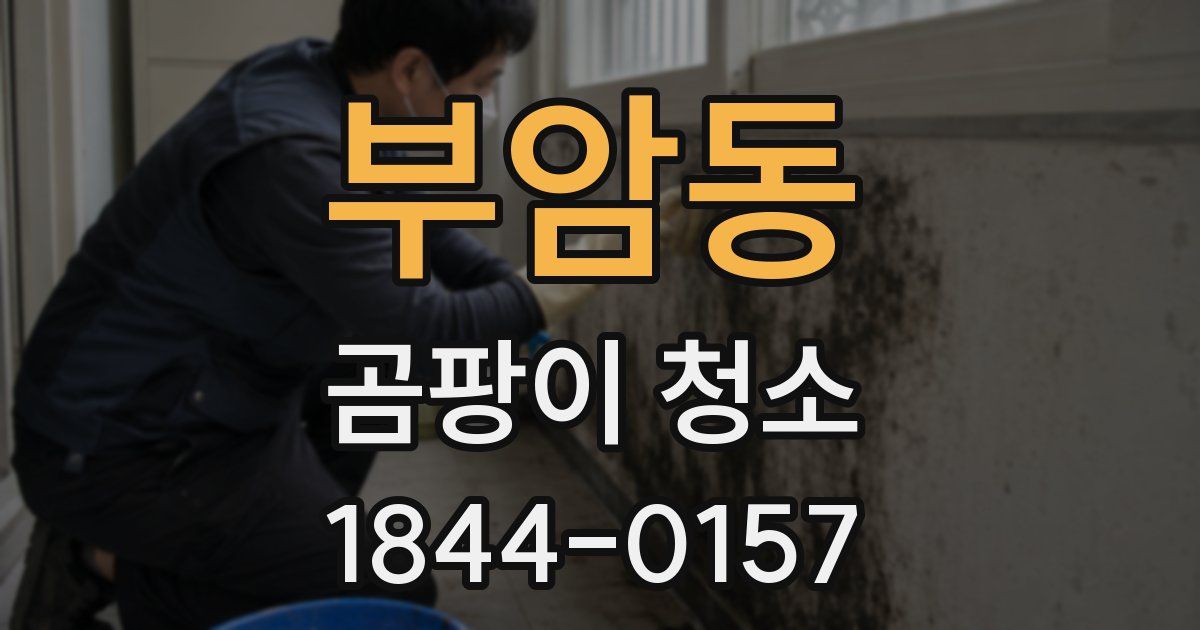 부암동 곰팡이 청소