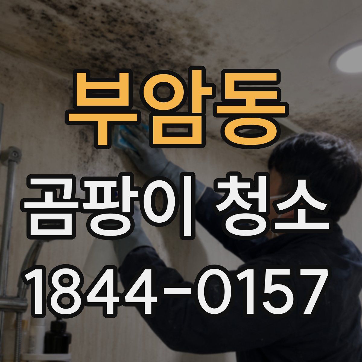 부암동 곰팡이 청소