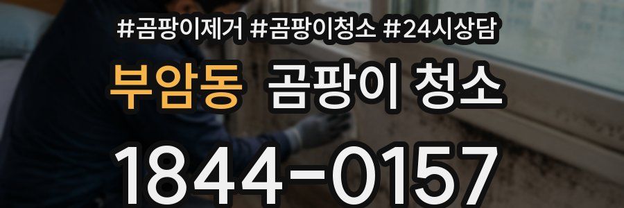 부암동 곰팡이 청소