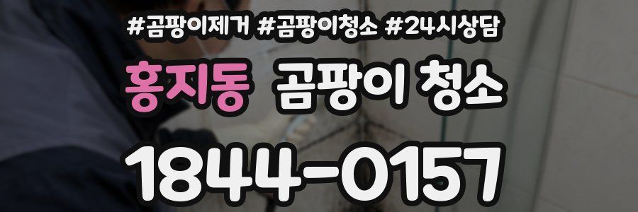 홍지동 곰팡이 청소