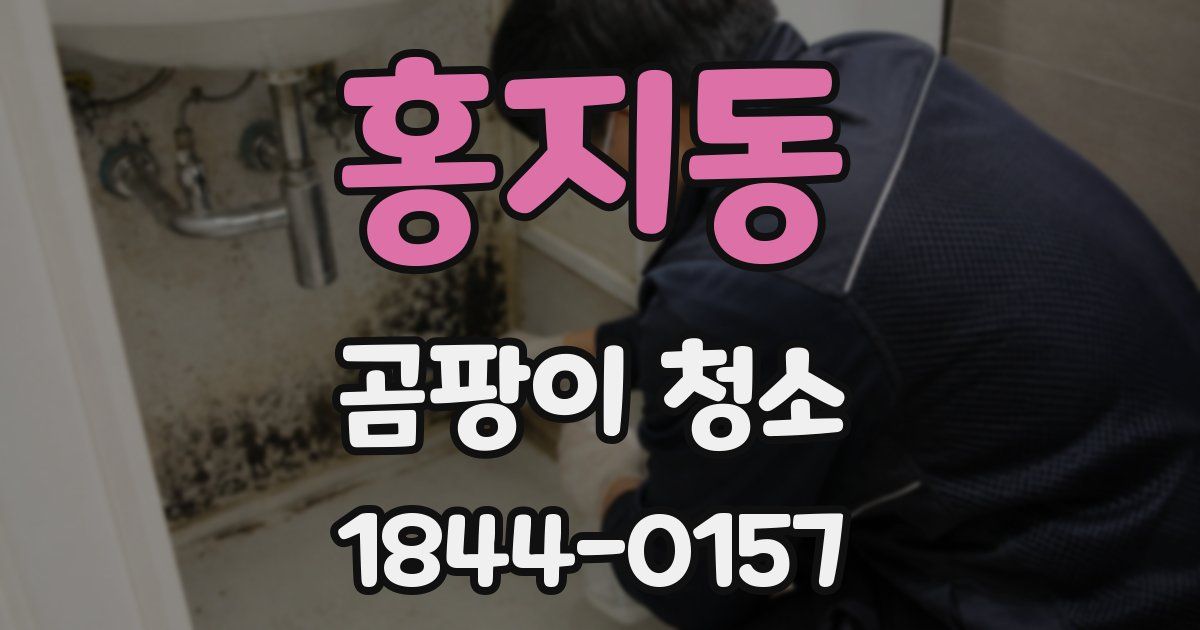 홍지동 곰팡이 청소