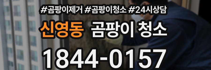 신영동 곰팡이 청소