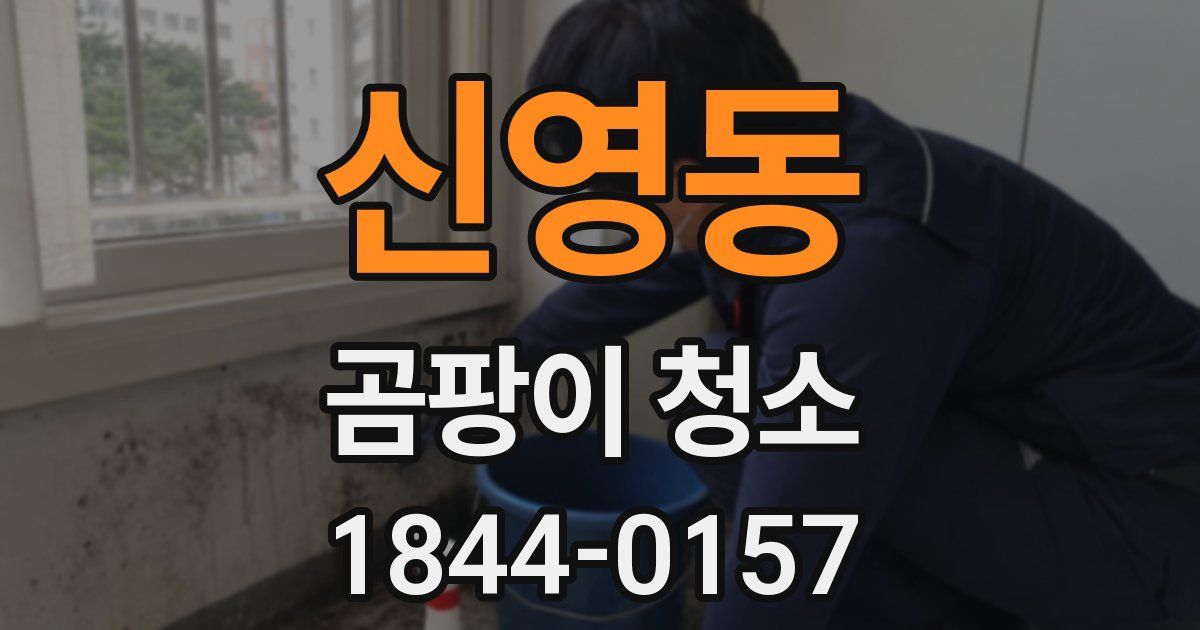 신영동 곰팡이 청소